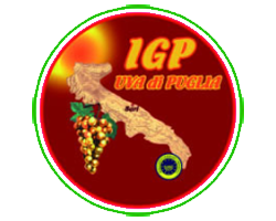 Certificato Uva di Puglia IGP